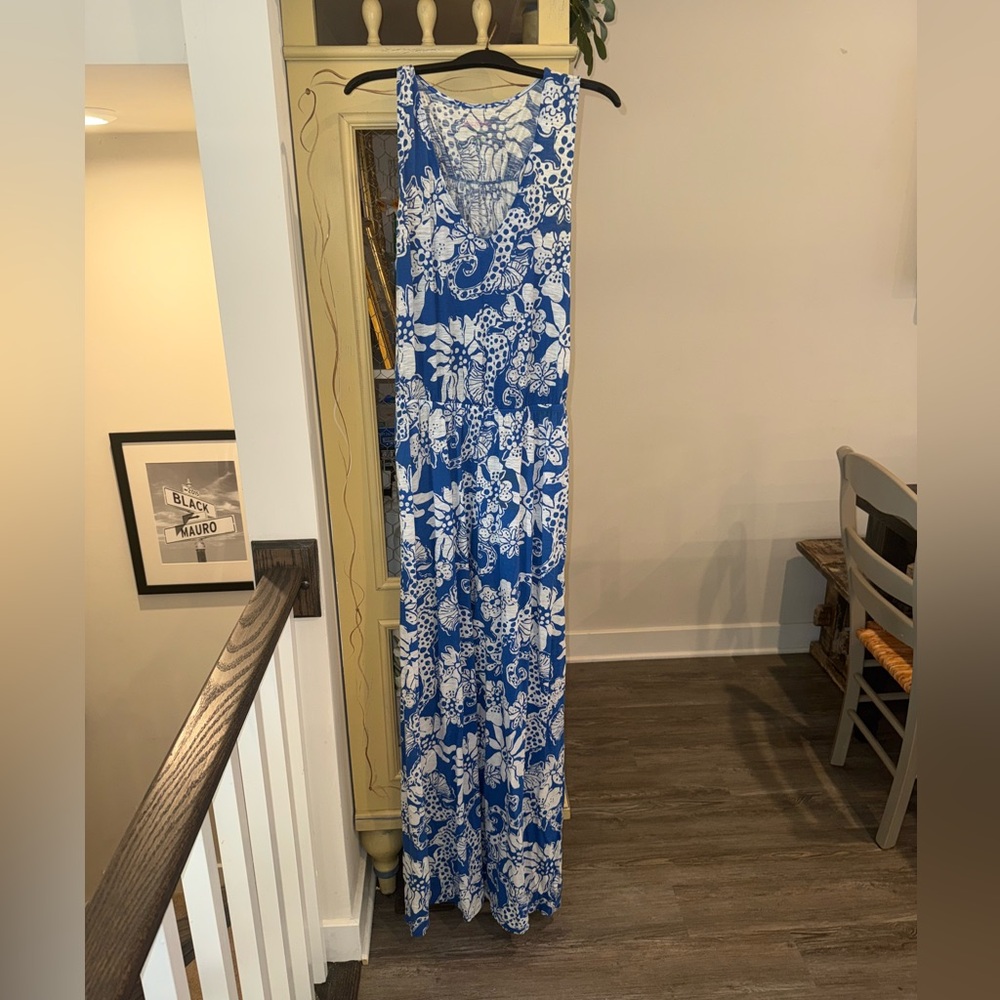Lilly Pulitzer Blue and White Floral Sleeveless Maxi Dress
